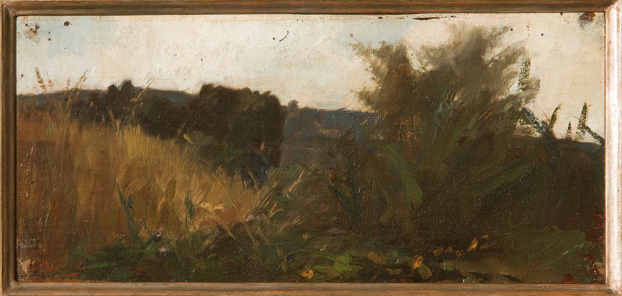 Étude de la Végétation - Giovanni Muzzioli