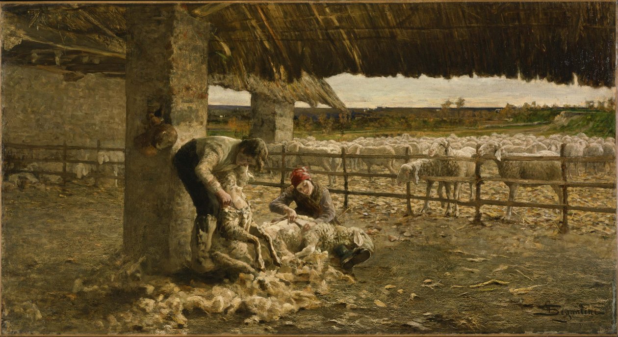 La Tonte des moutons, 1883-1884 - Giovanni Segantini