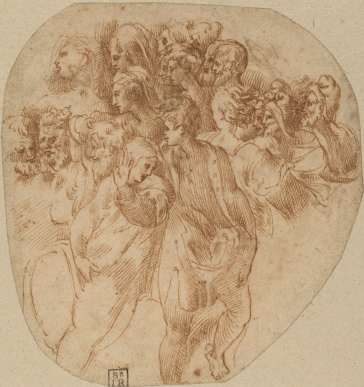 Études de Figures [recto] - Girolamo Mazzola Bedoli