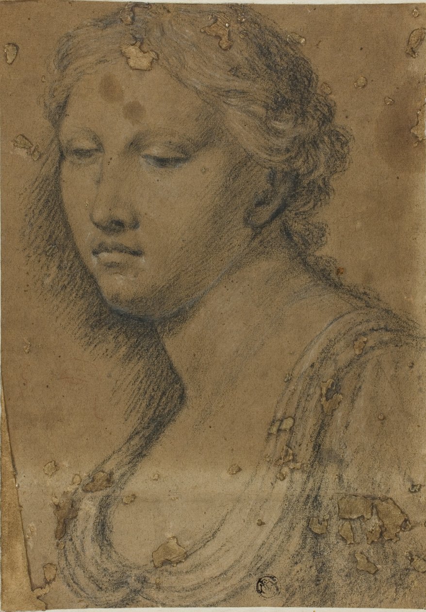 Buste de femme - Girolamo da Carpi