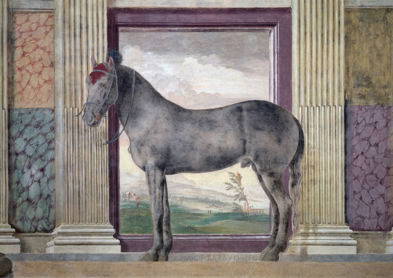 Sala dei Cavalli, (détail) - Giulio Romano