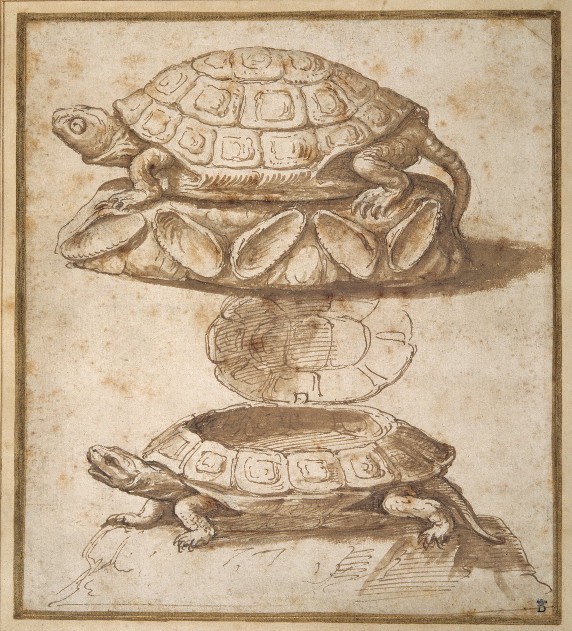 Boîte à friandises en forme de tortue - Giulio Romano