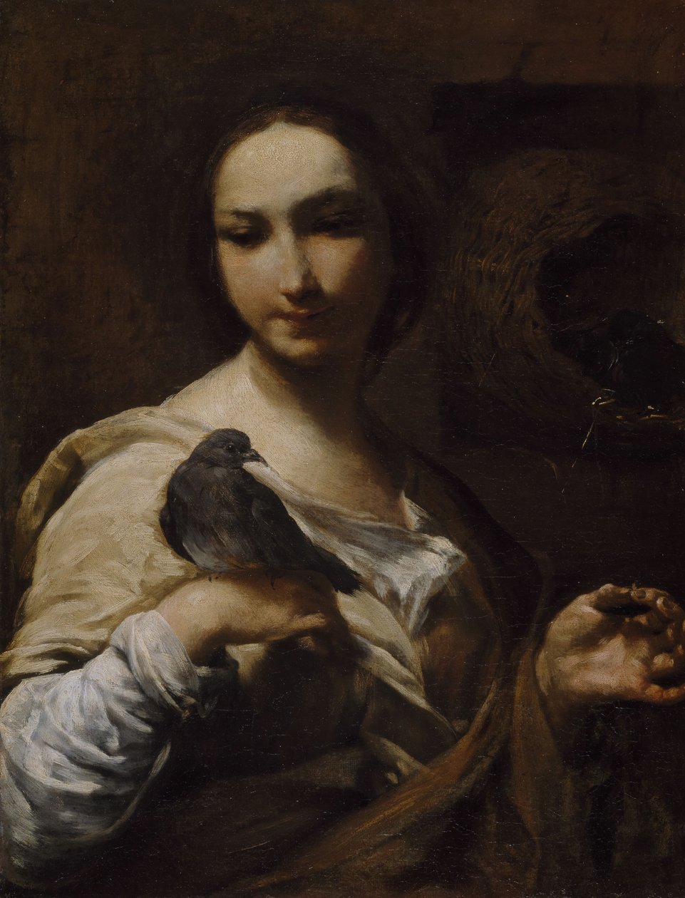 Fille tenant une colombe, 1721-27 - Giuseppe Maria Crespi