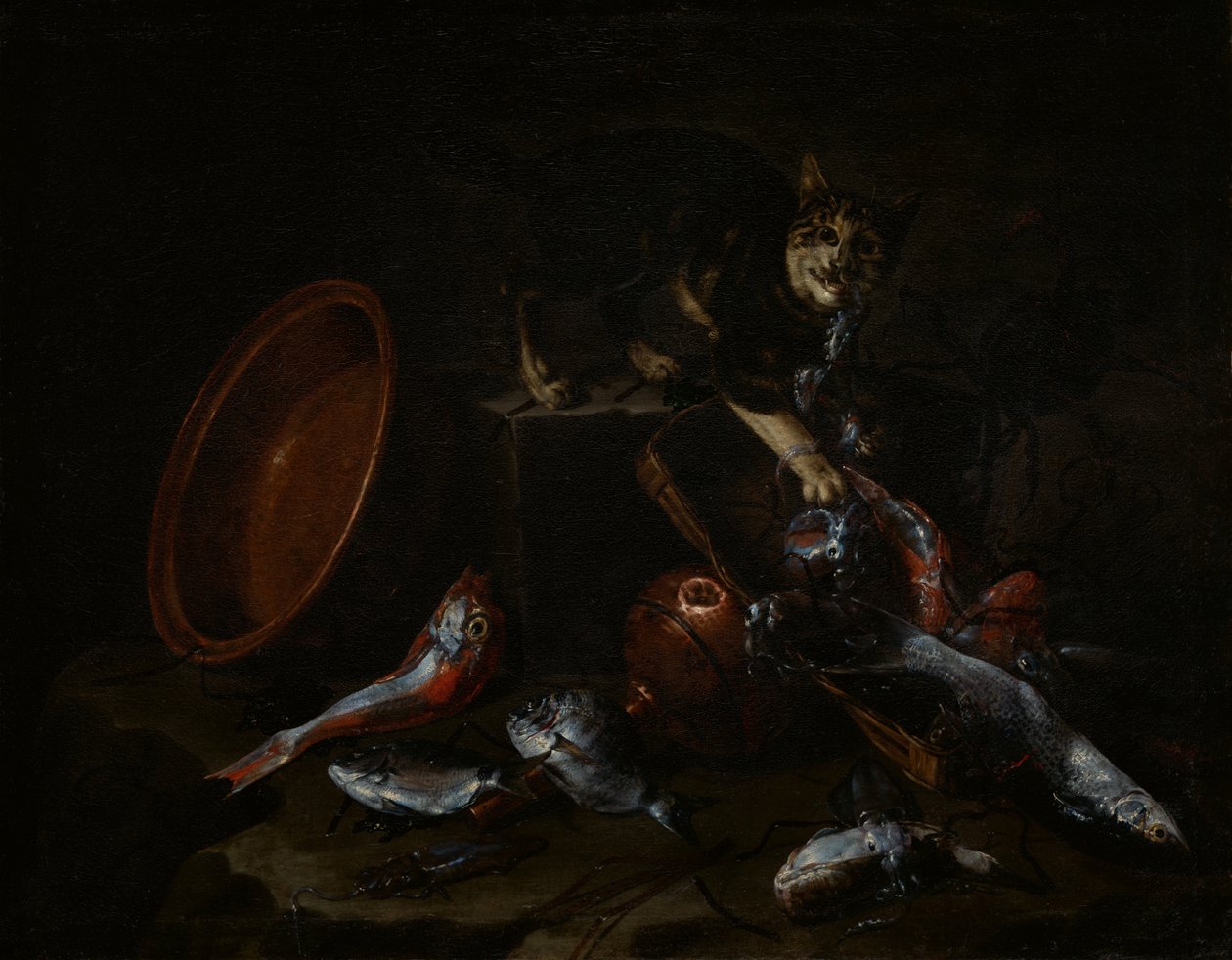 Un chat volant du poisson - Giuseppe Recco