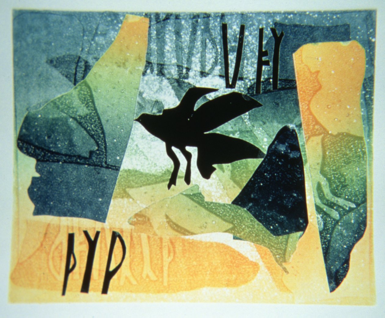 Corbeau picte - Gloria Wallington
