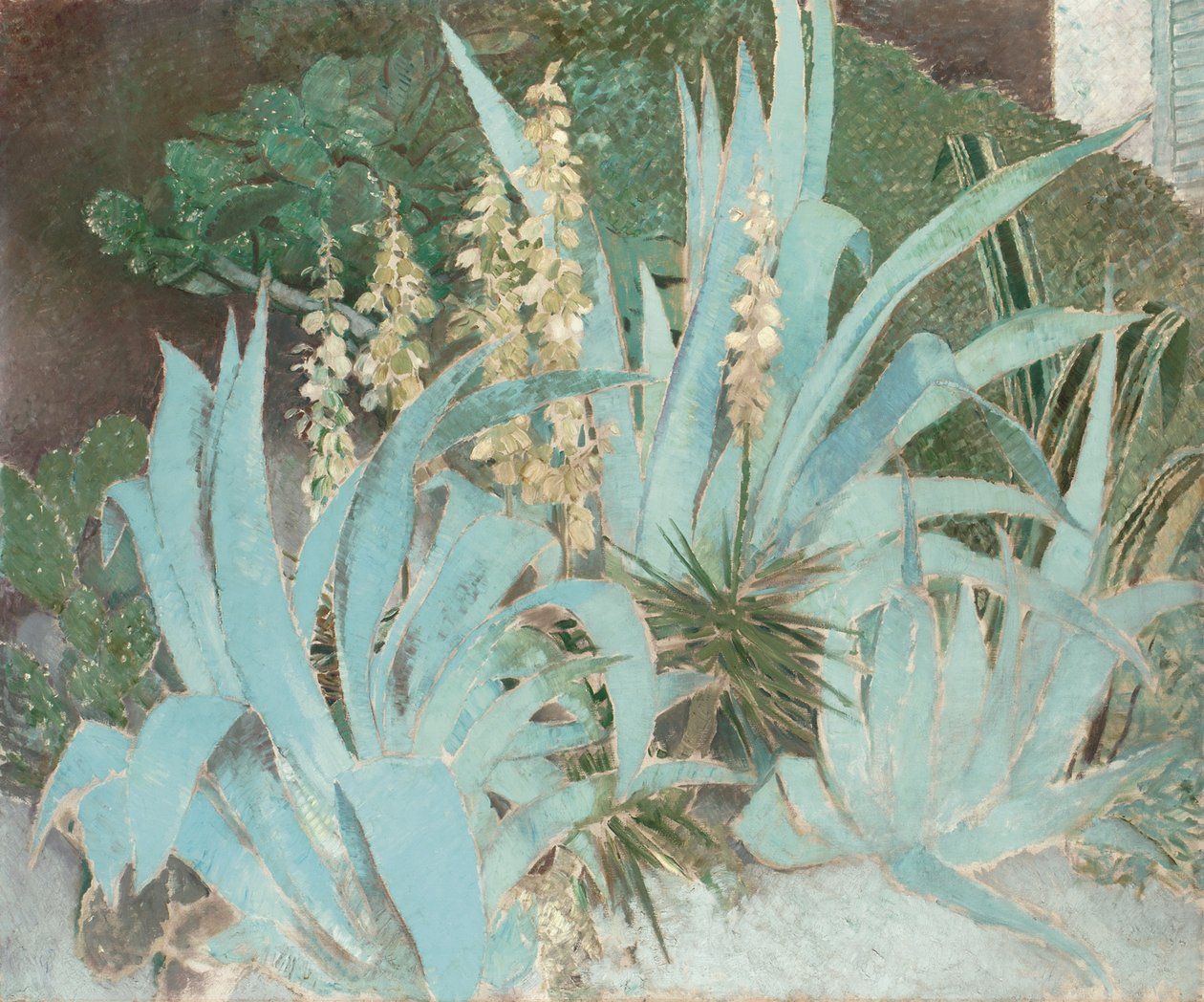 Cactus - Glyn Warren Philpot