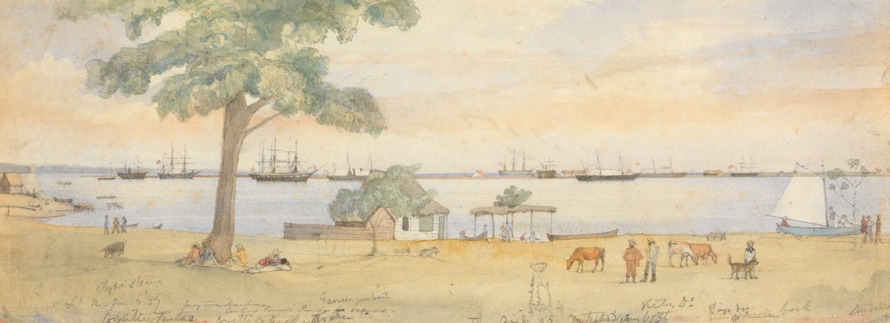 Greytown - Godfrey Thomas Vigne