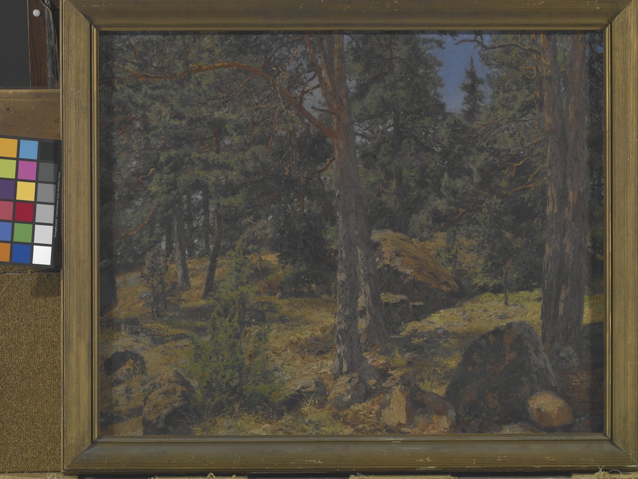 Une rive de sapins - Gottfried Kallstenius