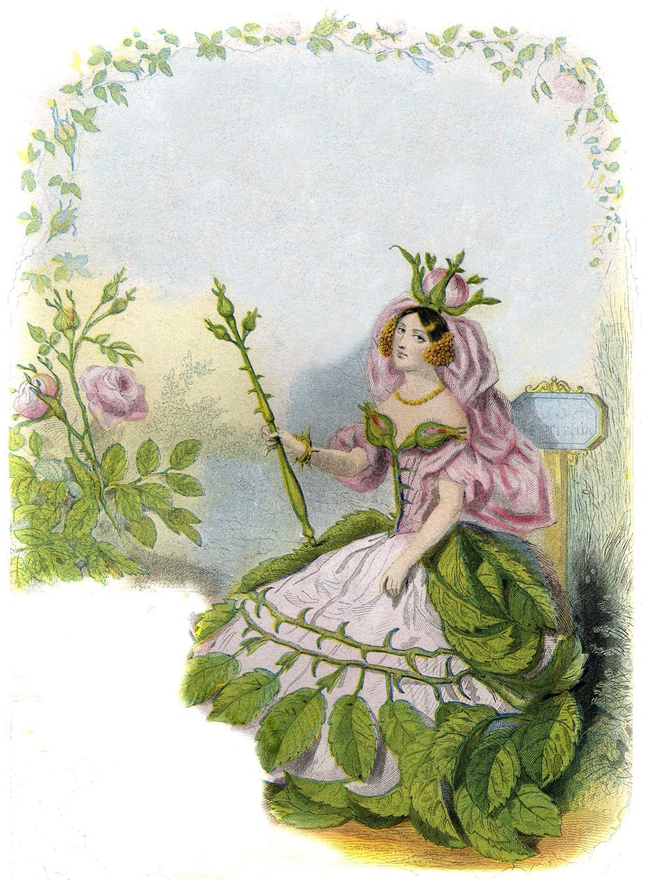 Illustration pour 