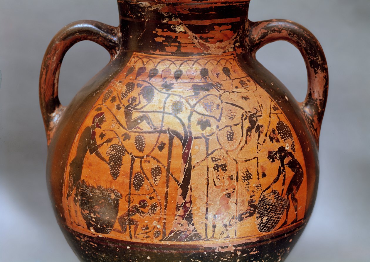 Amphore de style rhodien représentant la cueillette des raisins - Greek