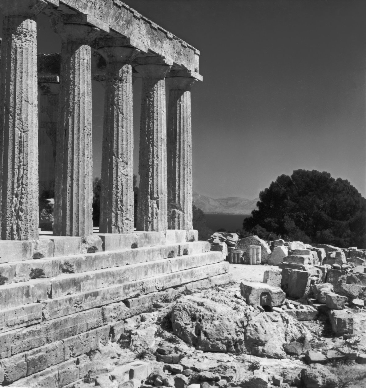 Temple d