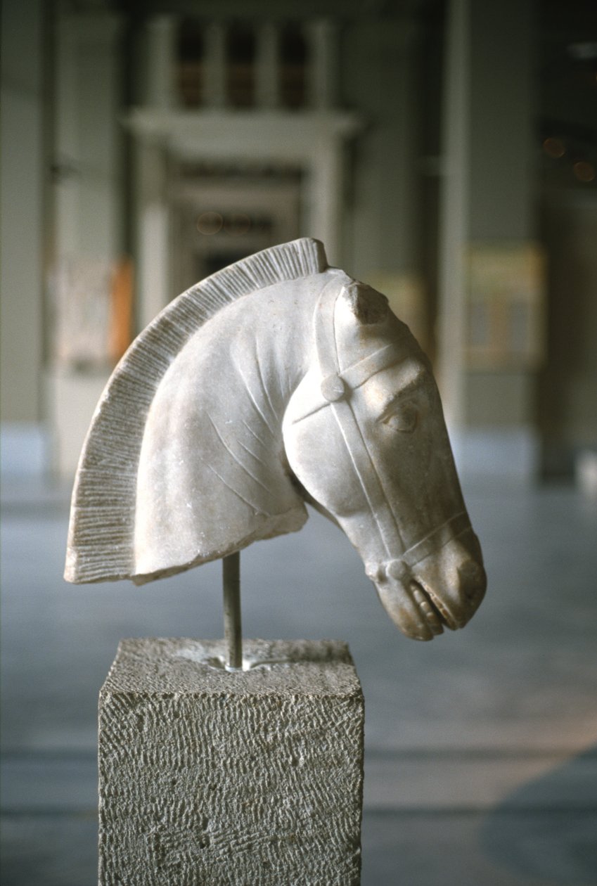 Tête de cheval (marbre) - Greek