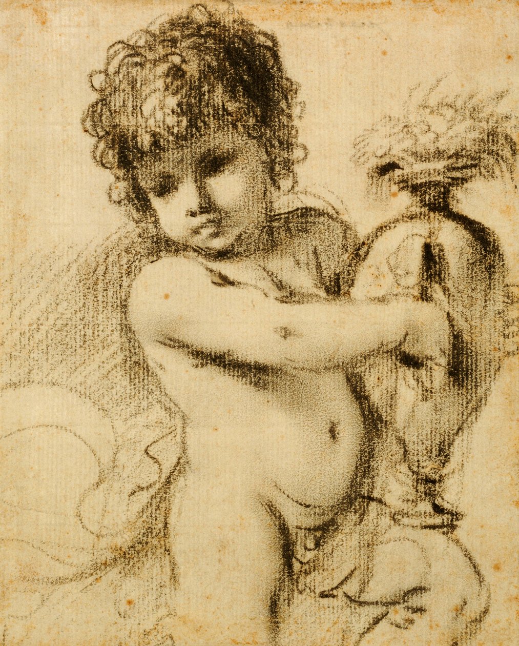 Un putto avec un vase - Guercino