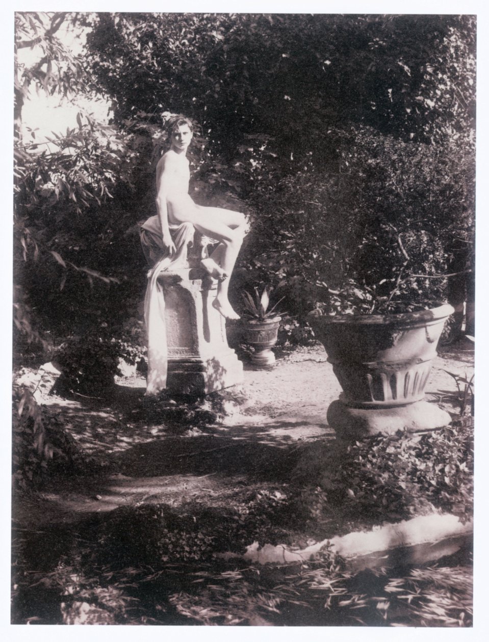Photographe (photo) - Guglielmo (1852 1930) Plüschow