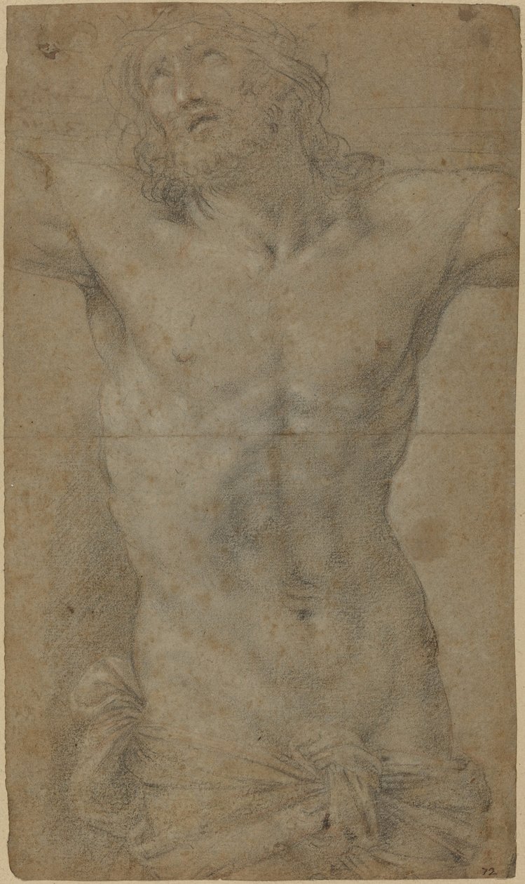 Torse du Christ en croix - Guido Reni