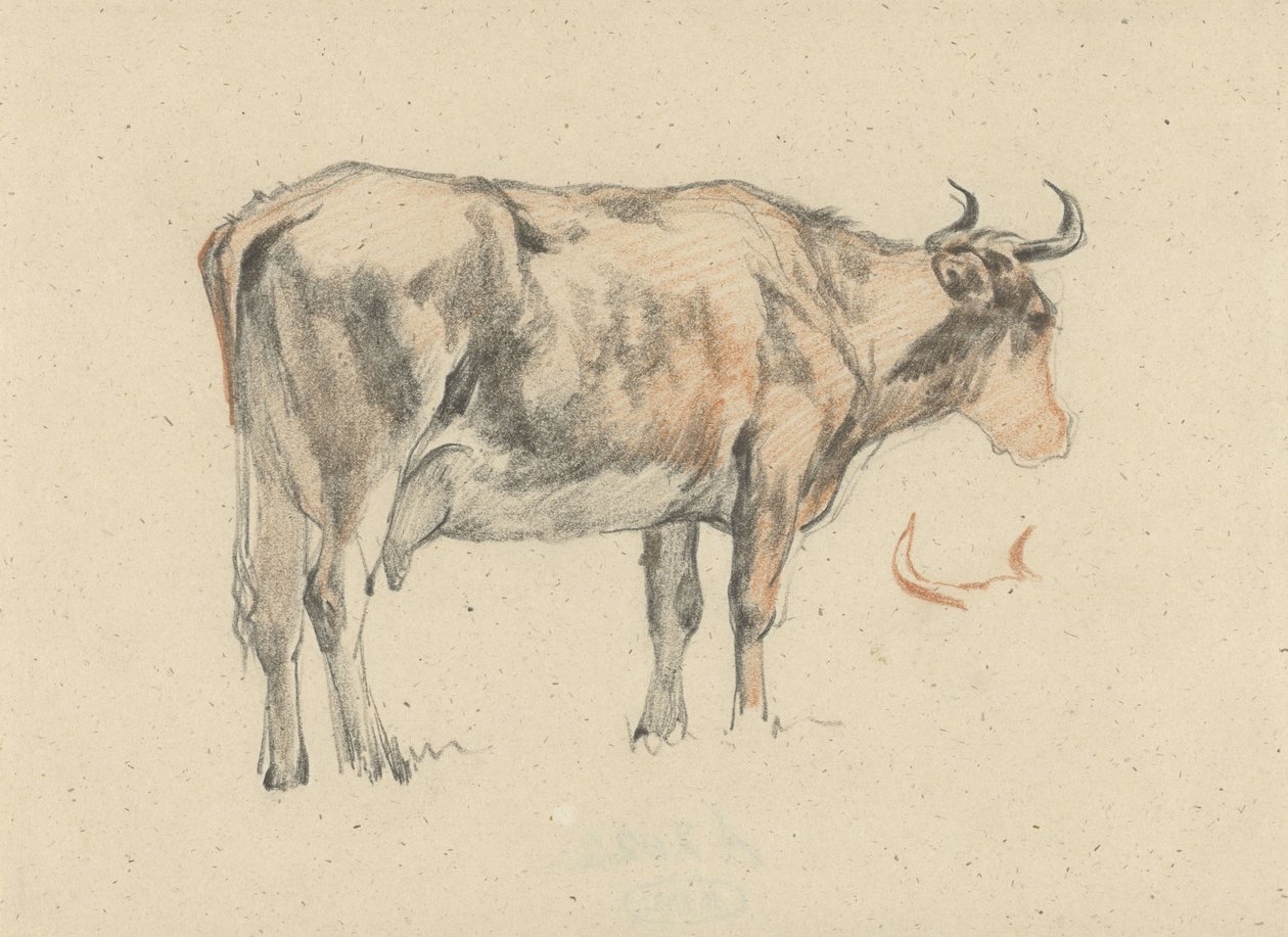 Vache debout, vers la droite - Guillaume Anne van der Brugghen