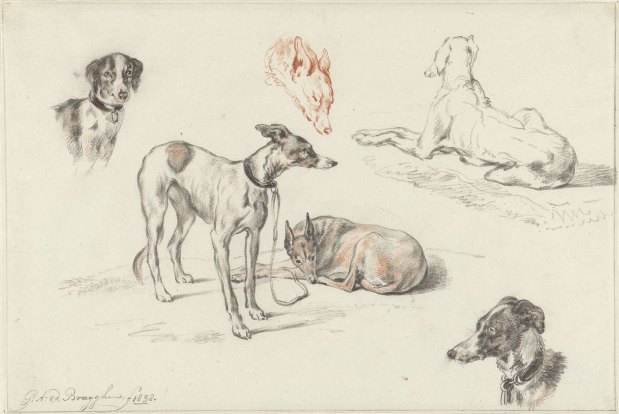 Études de chiens - Guillaume Anne van der Brugghen