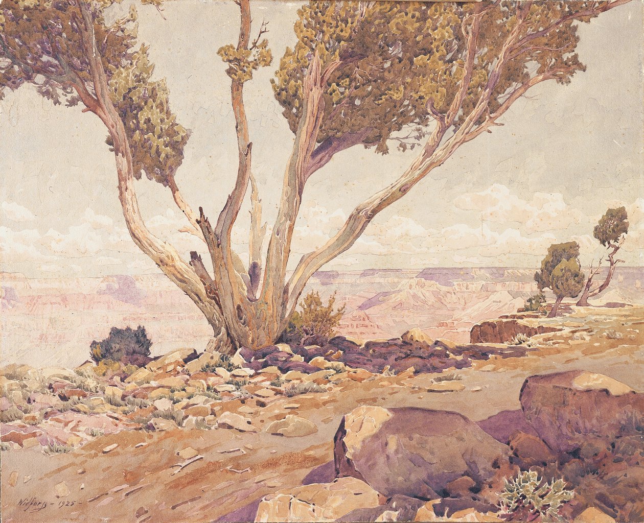 Grand Canyon - Gunnar Widforss