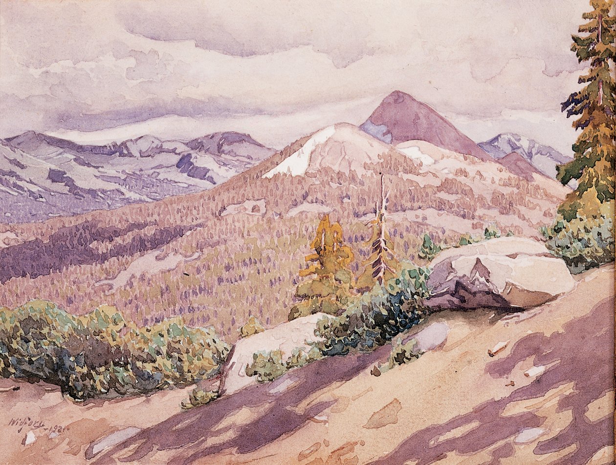 High Sierra - Gunnar Widforss