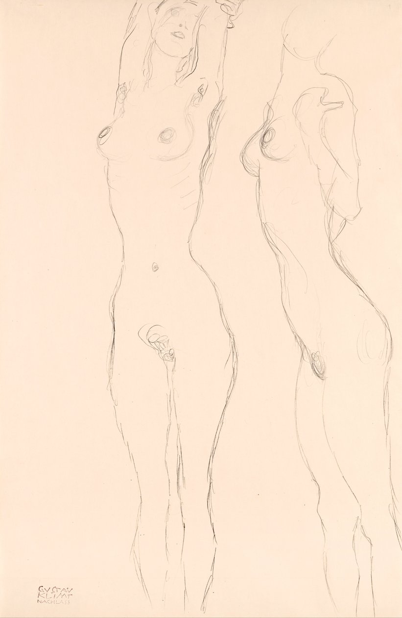 Deux nus, celui de gauche avec les bras levés - Gustav Klimt