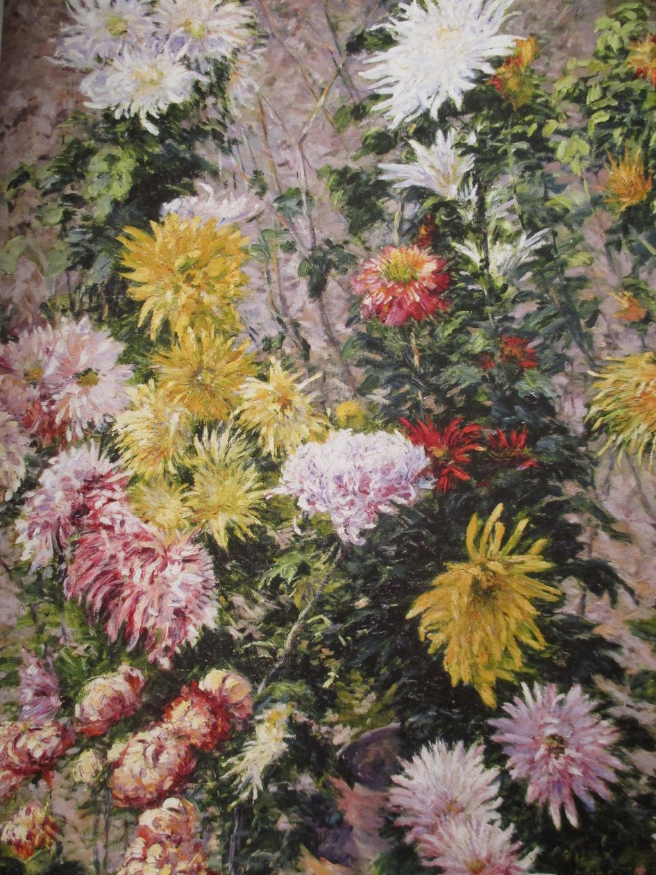 Chrysanthèmes blancs et jaunes - Gustave Caillebotte