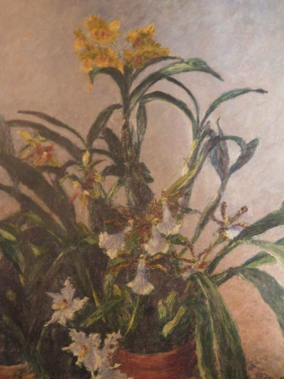 Orchidées jaunes - Gustave Caillebotte