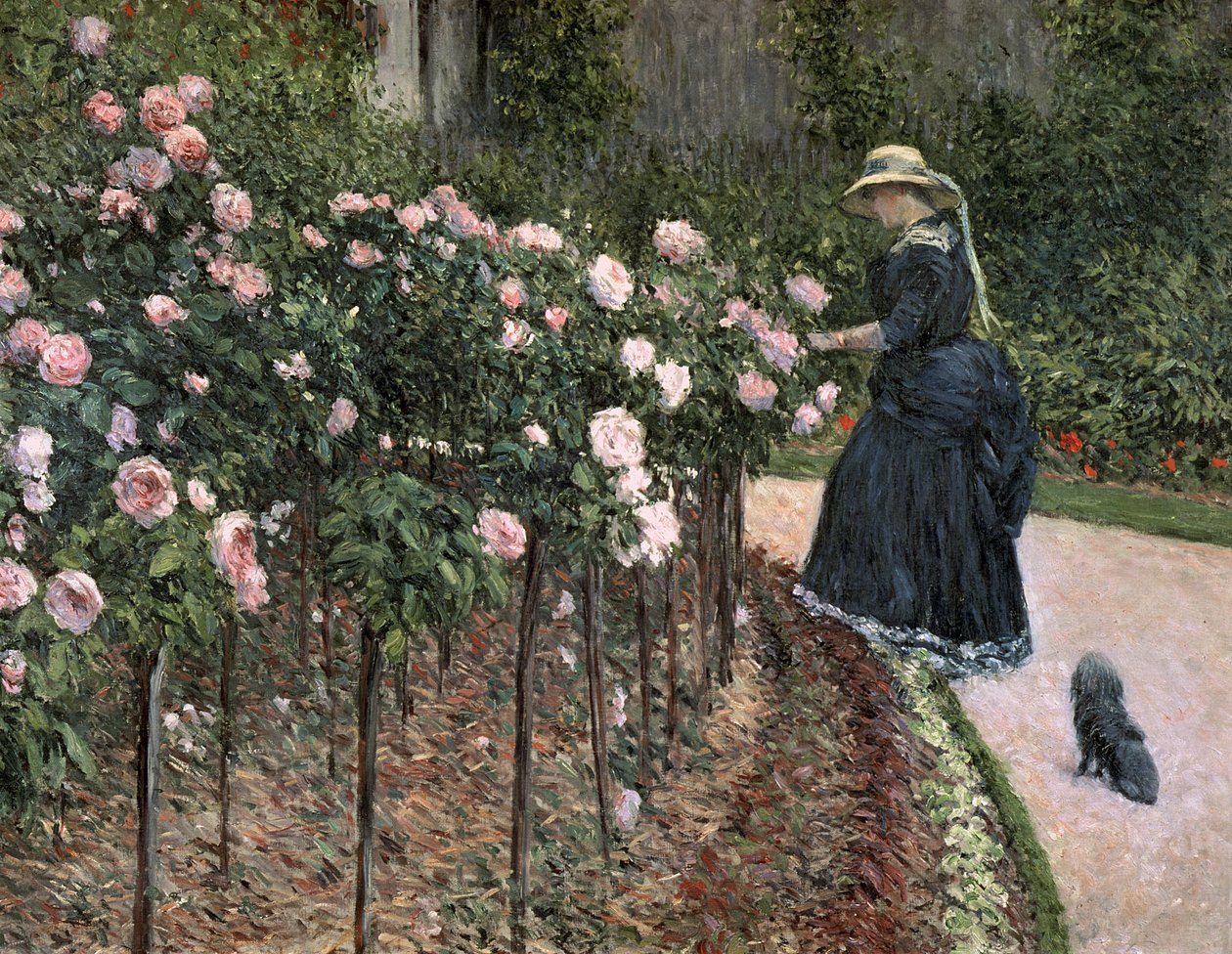 Roses dans le Jardin à Petit Gennevilliers, 1886 - Gustave Caillebotte