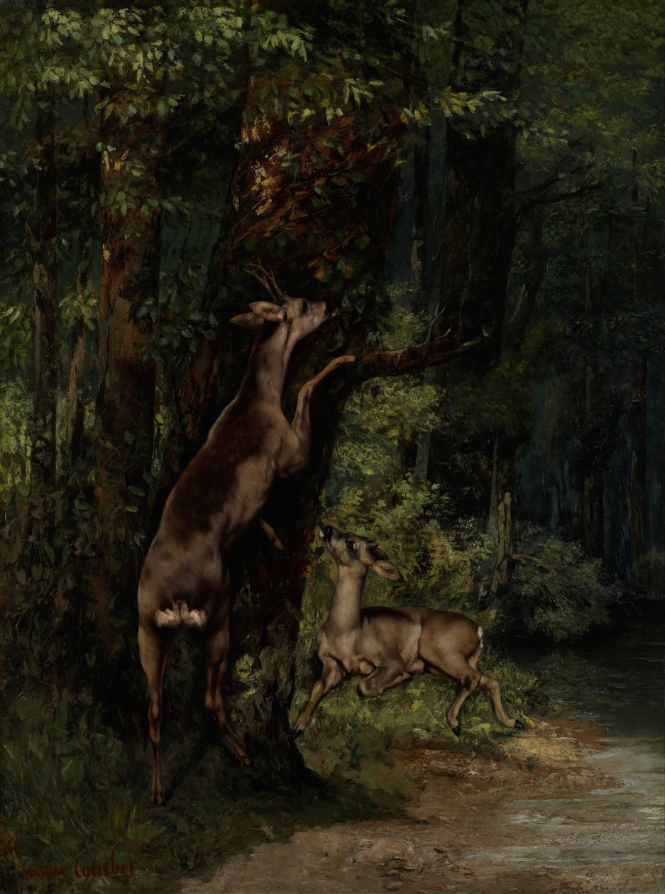 Cerfs dans la forêt - Gustave Courbet