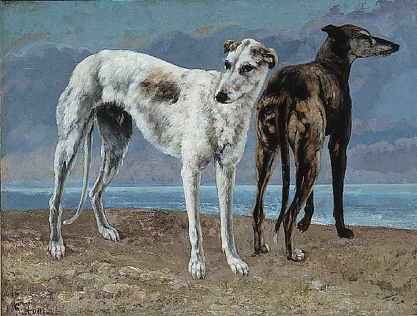 Les Lévriers du Comte de Choiseul - Gustave Courbet