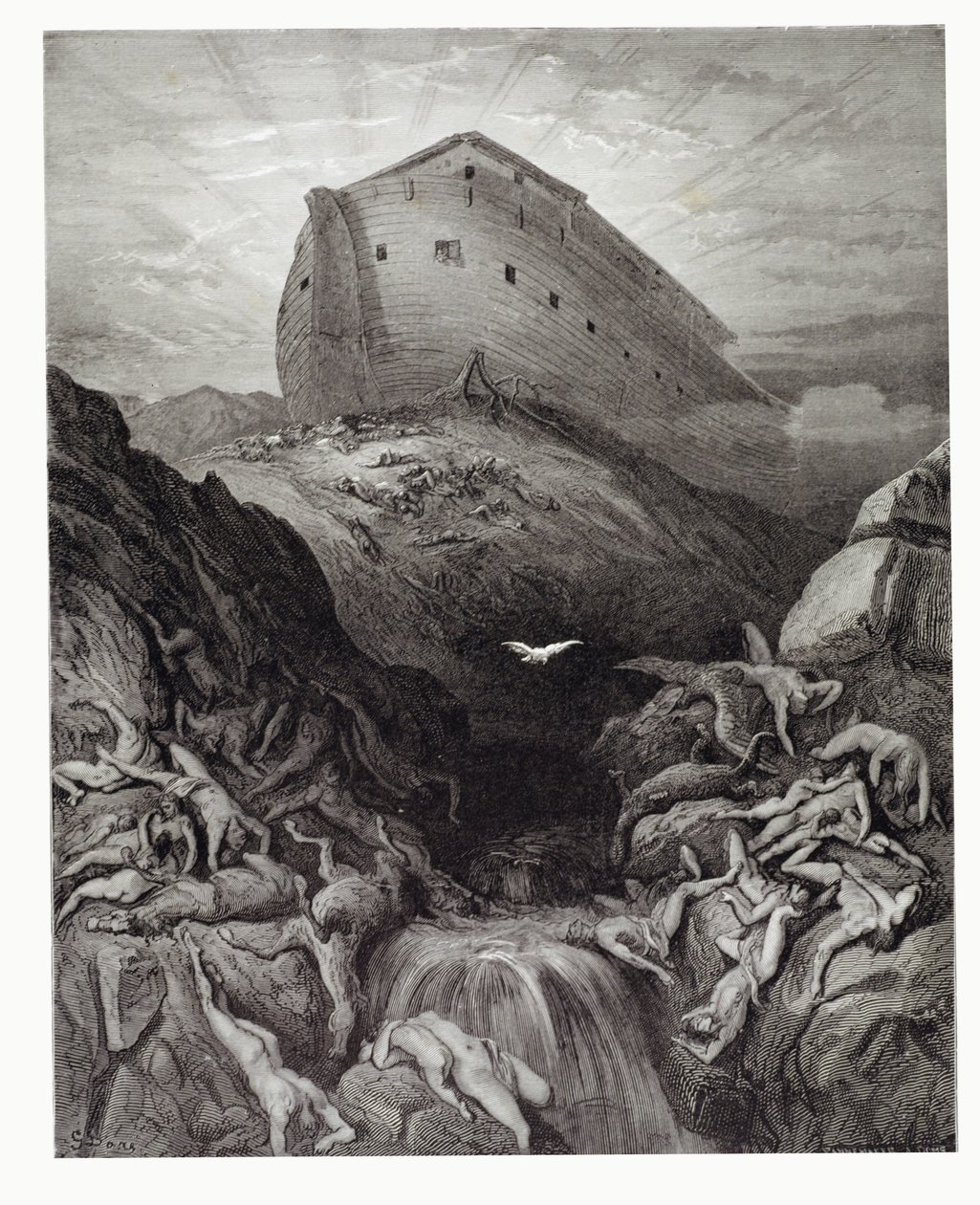 La colombe envoyée de l