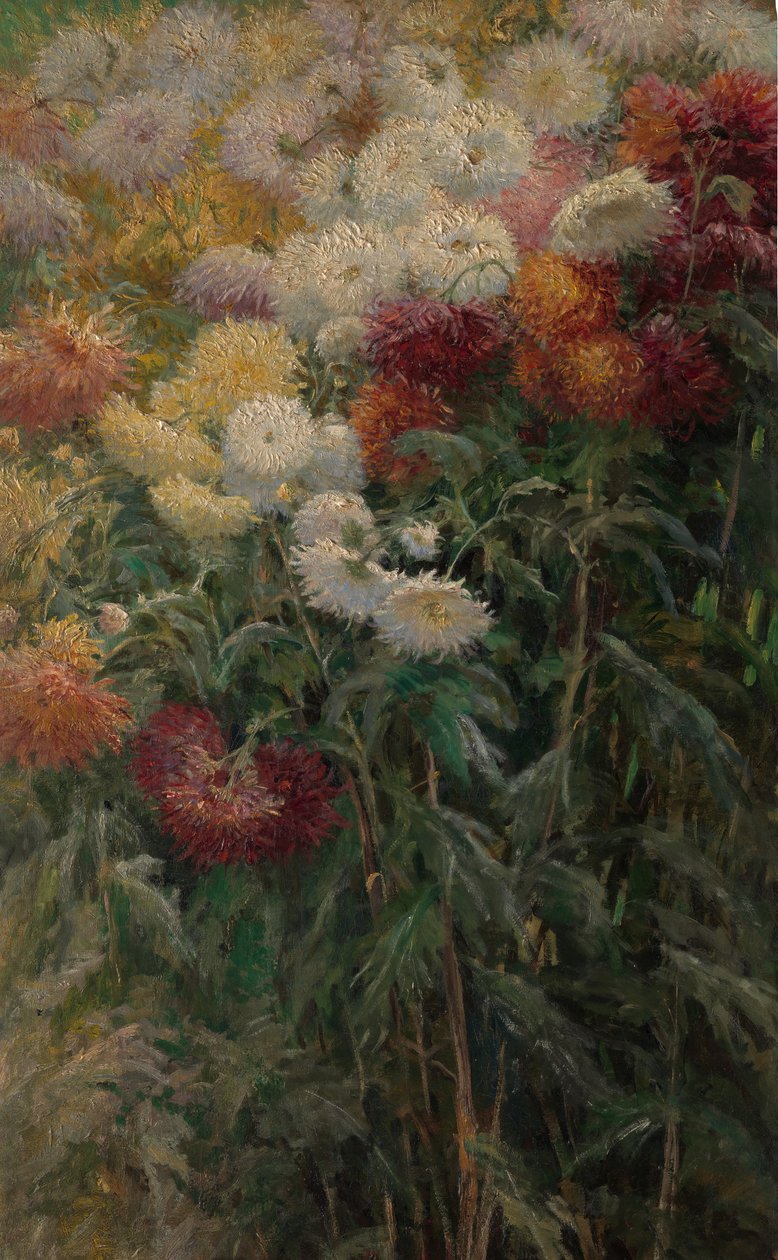 Chrysanthèmes dans le jardin à Petit-Gennevilliers, 1893 - Gustave Caillebotte