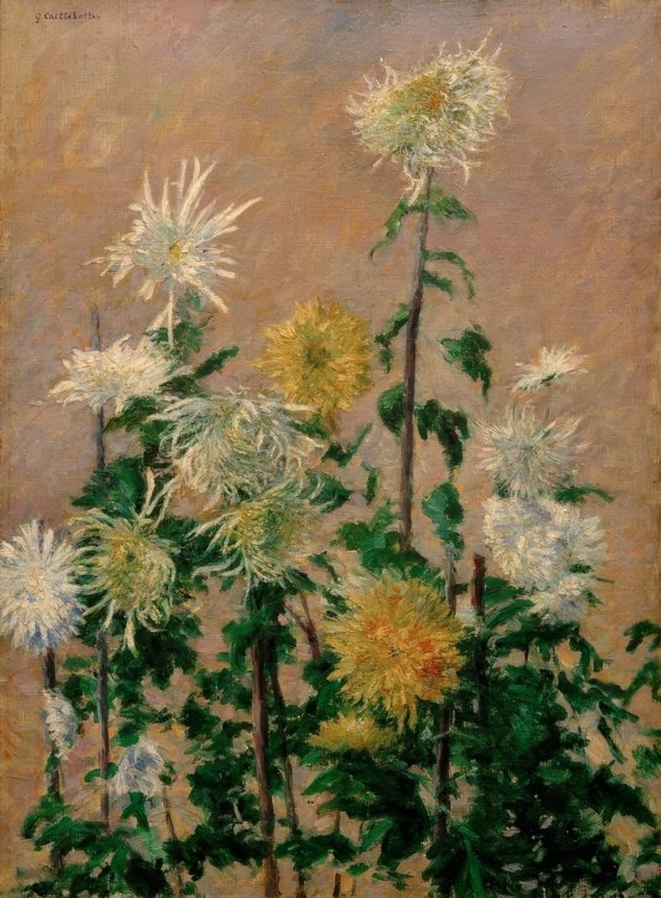 Chrysanthèmes blancs et jaunes - Gustave Caillebotte