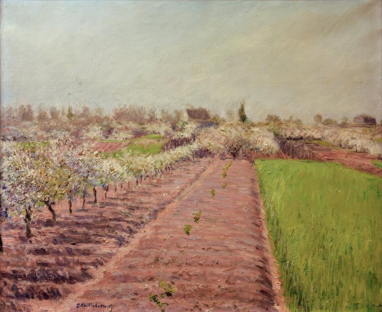 Pommiers en fleurs, coteau de Colombes - Gustave Caillebotte