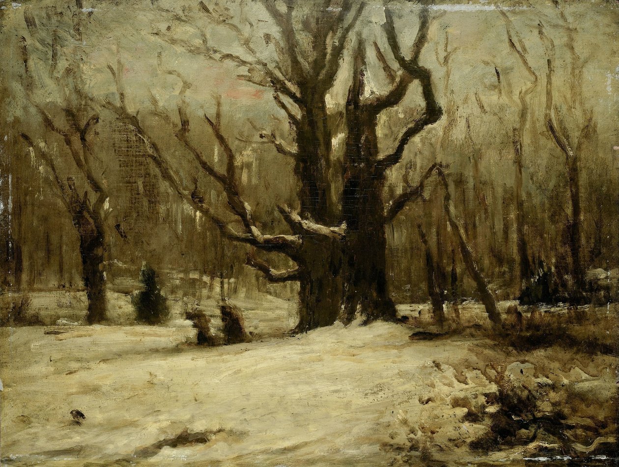 Paysage d