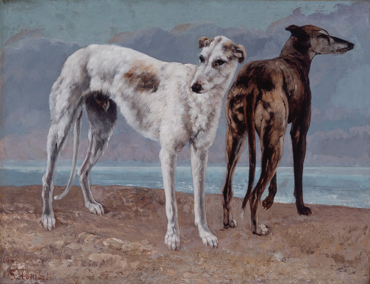 Les lévriers du Comte de Choiseul - Gustave Courbet