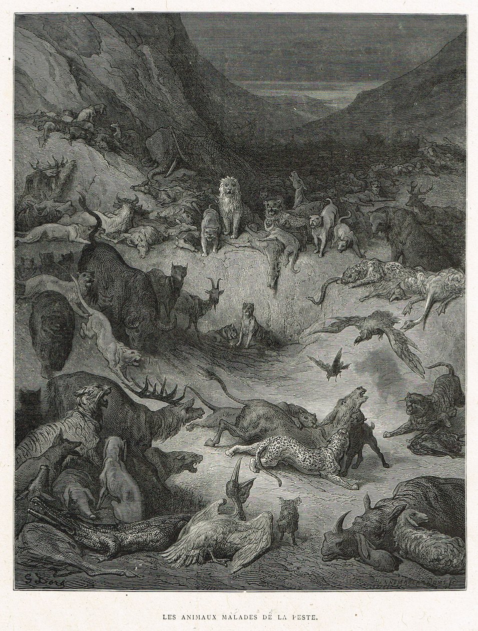 Les Animaux malades de la Peste - Gustave Dore