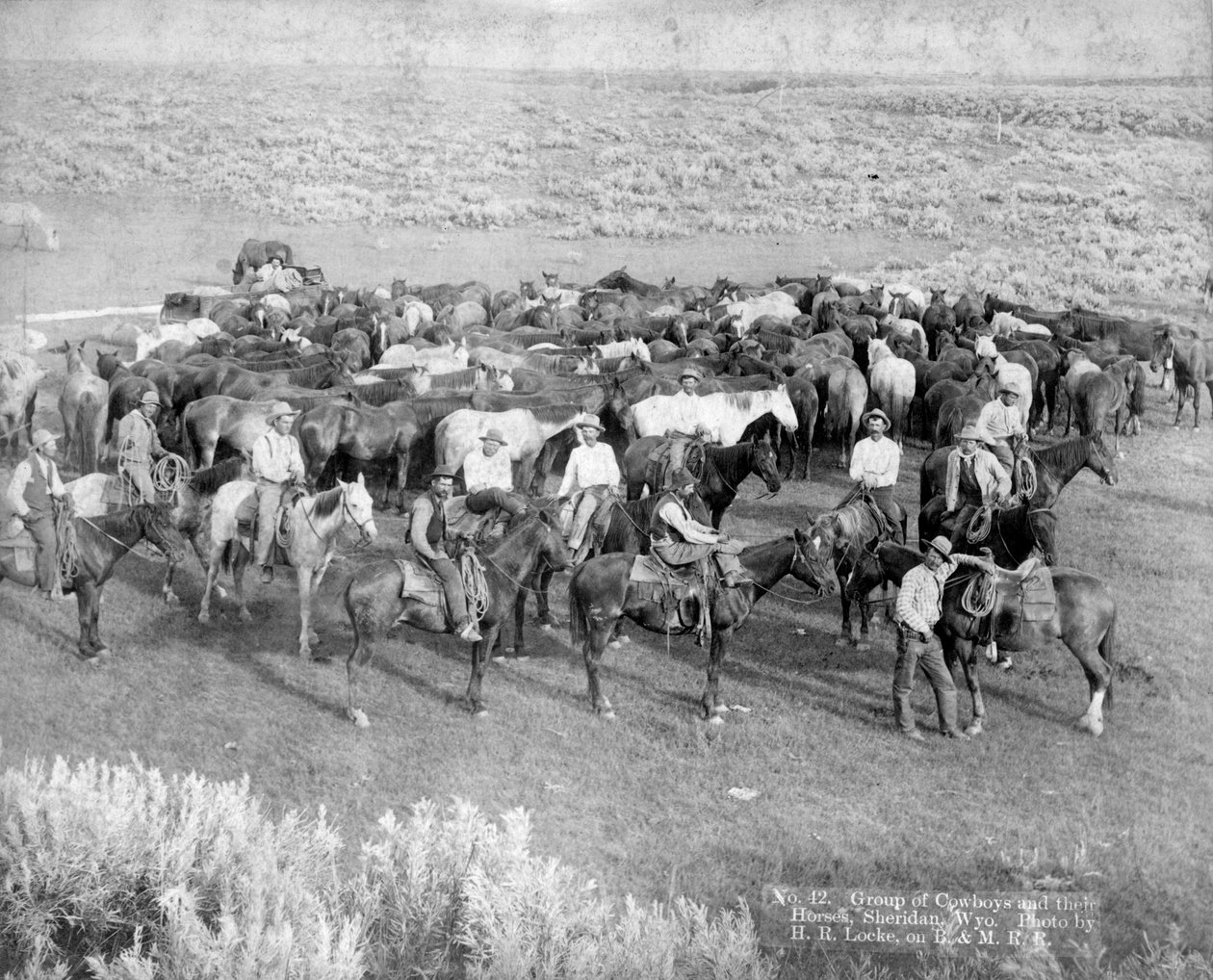 Groupe de cowboys et leurs chevaux, Sheridan, Wyoming, c.1890 - H. R. Locke