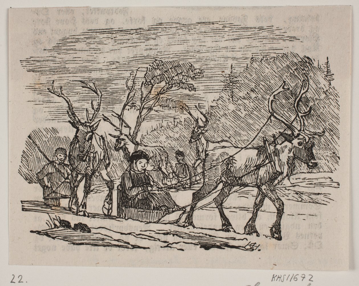 Traîneau avec des rennes - H. C. Henneberg