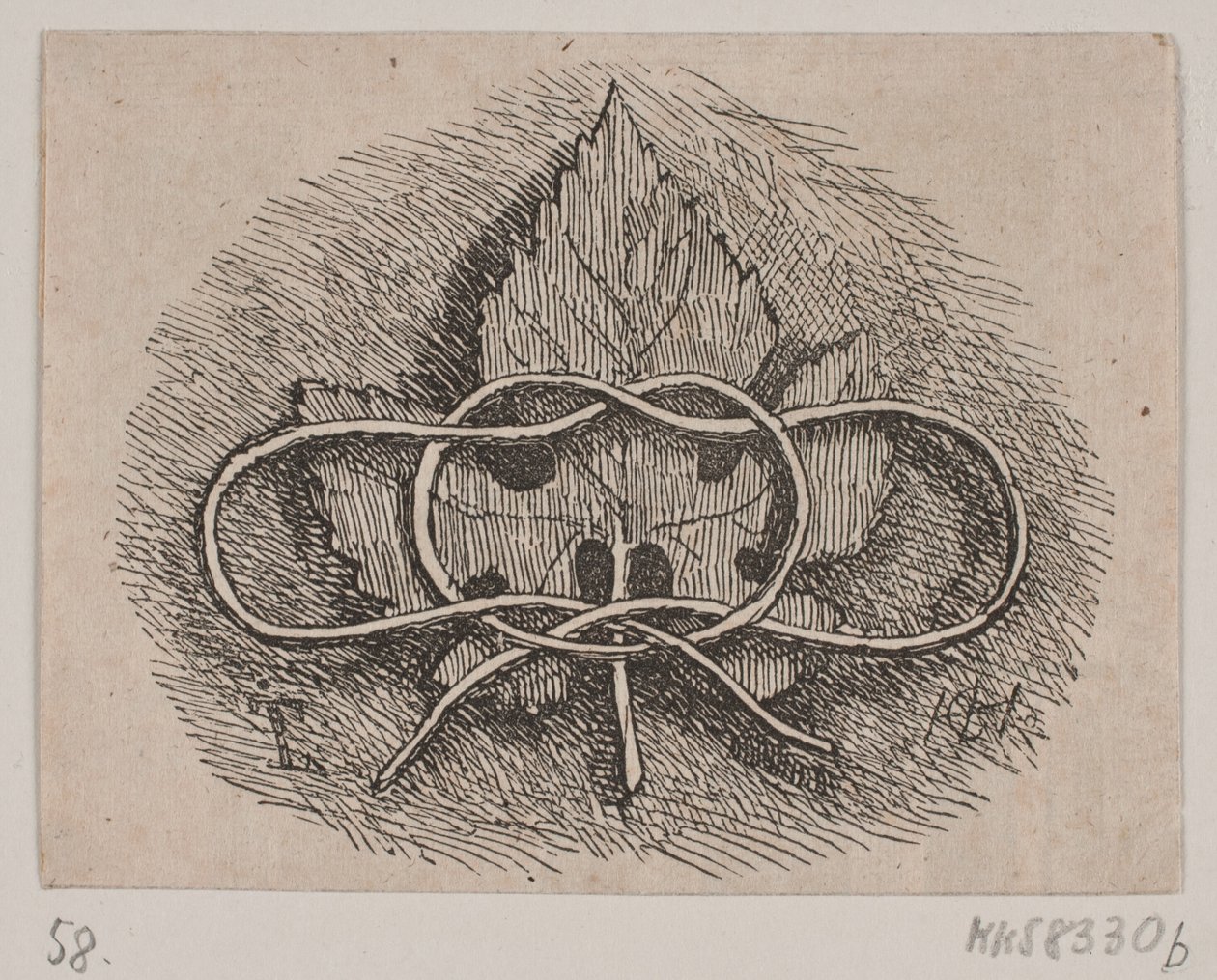 Enroulement de fil sur une feuille - H. C. Henneberg