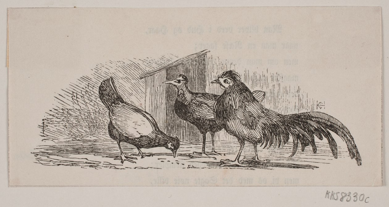 Trois poules - H. C. Henneberg