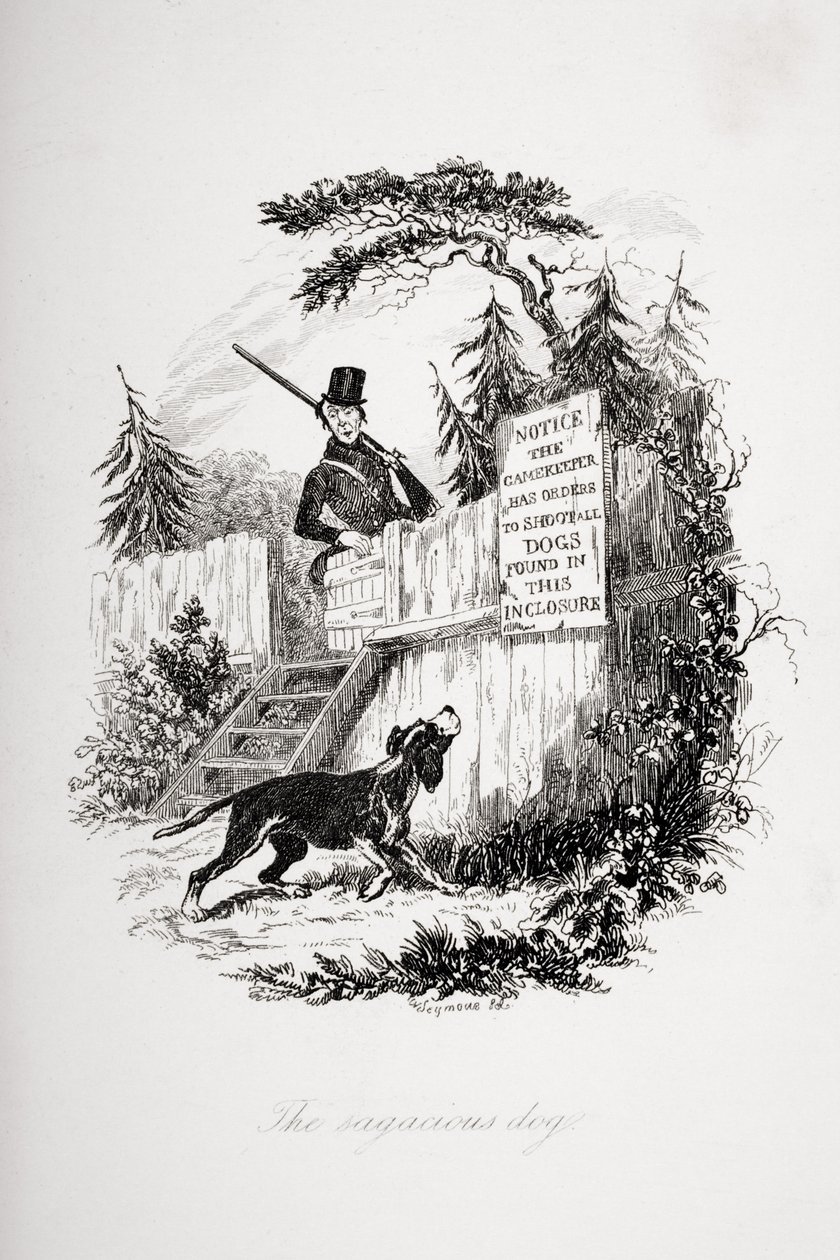 Le chien sagace, illustration de 