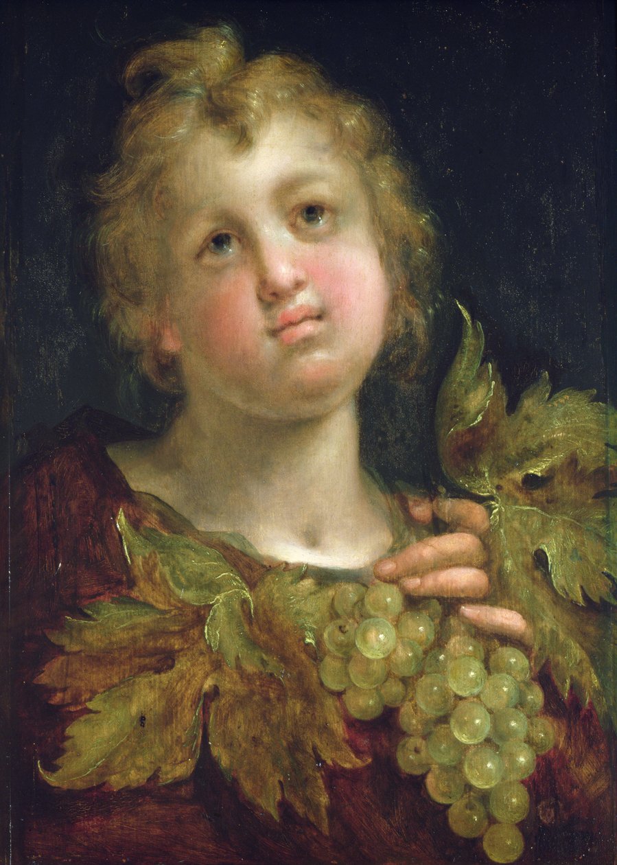 Garçon avec une grappe de raisins, 1600-5 - Hans von Aachen