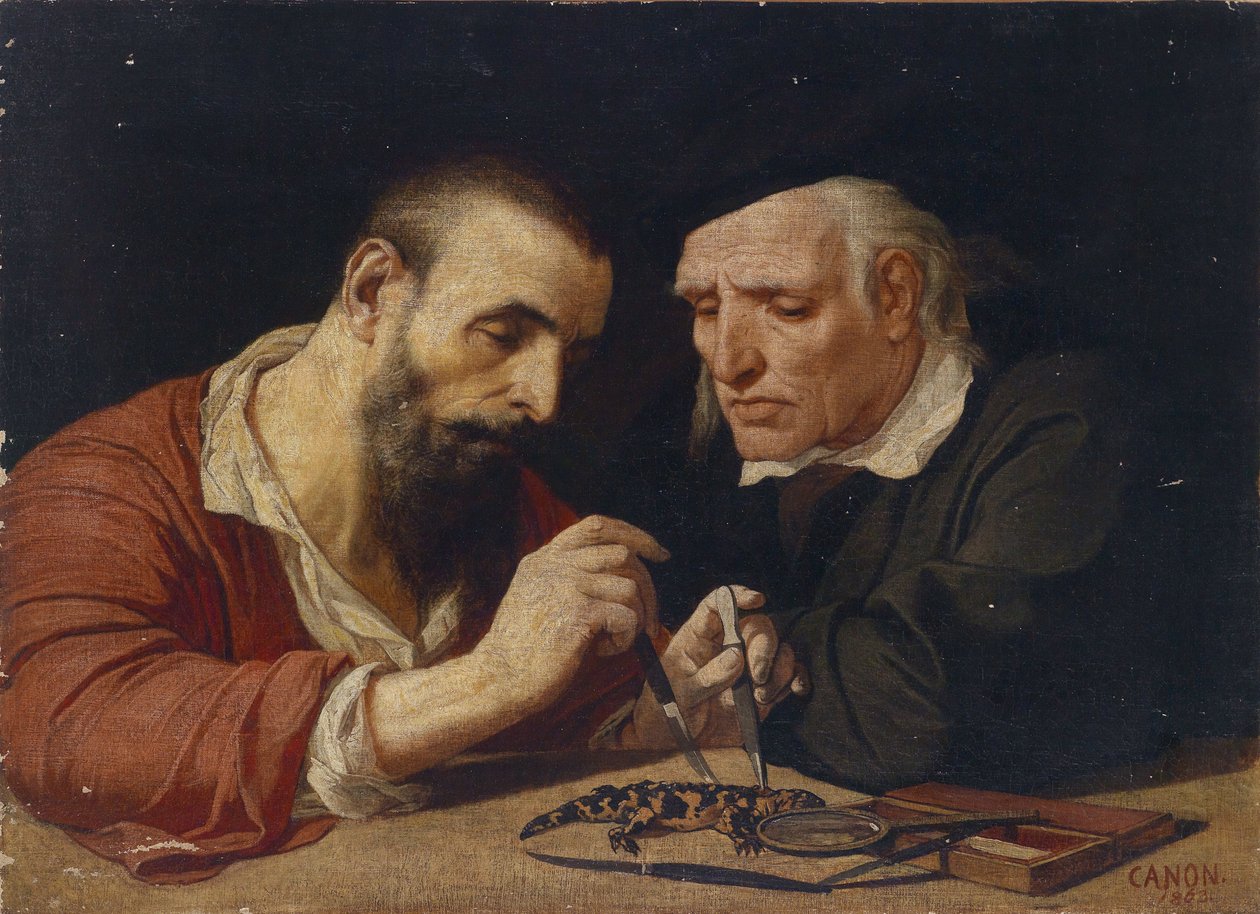 Le Salamandre - Hans Canon