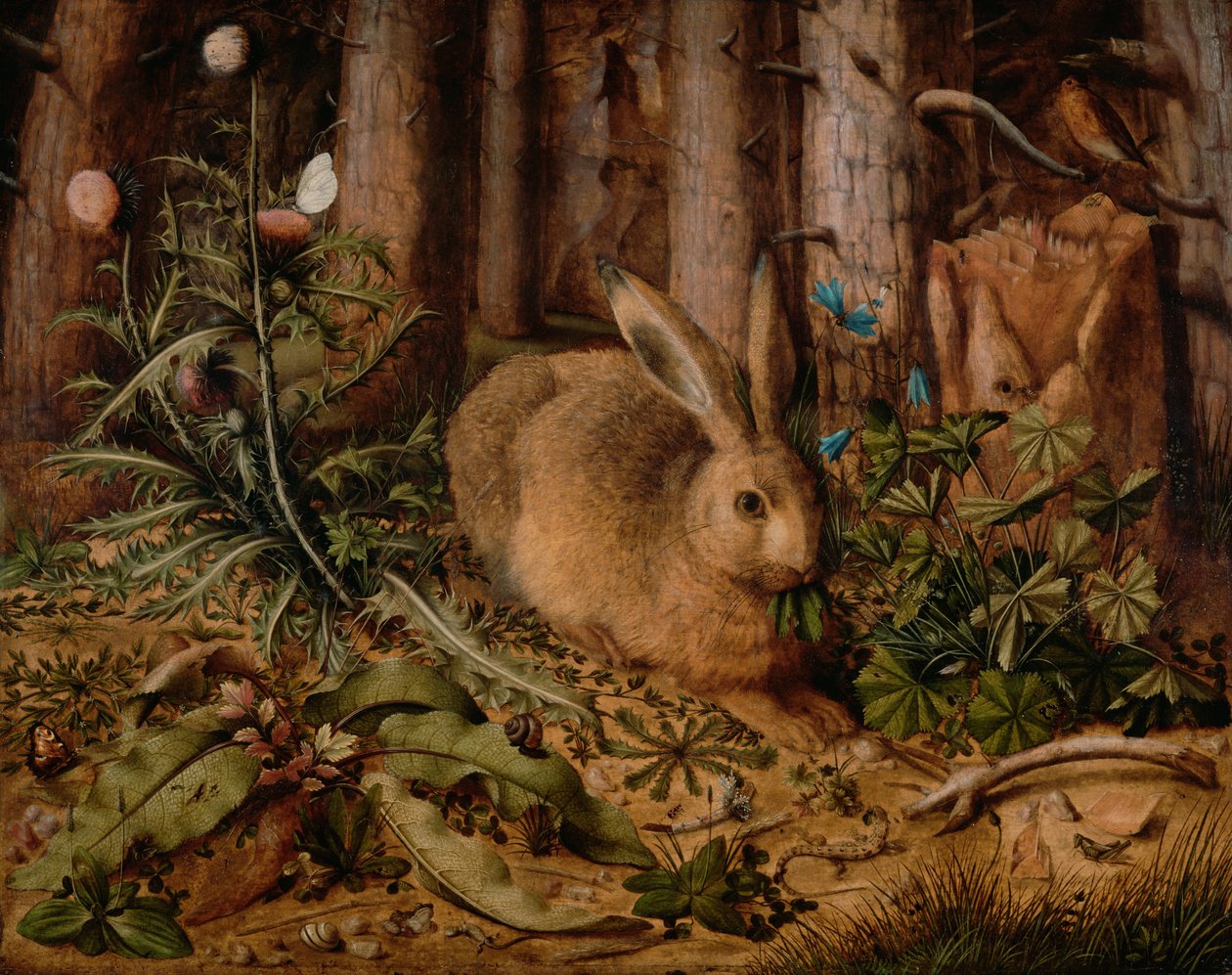 Un lièvre dans la forêt - Hans Hoffmann
