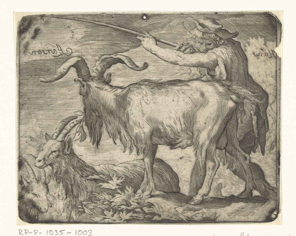 Garçon avec chèvres - Hans Aarsen (signed by artist)