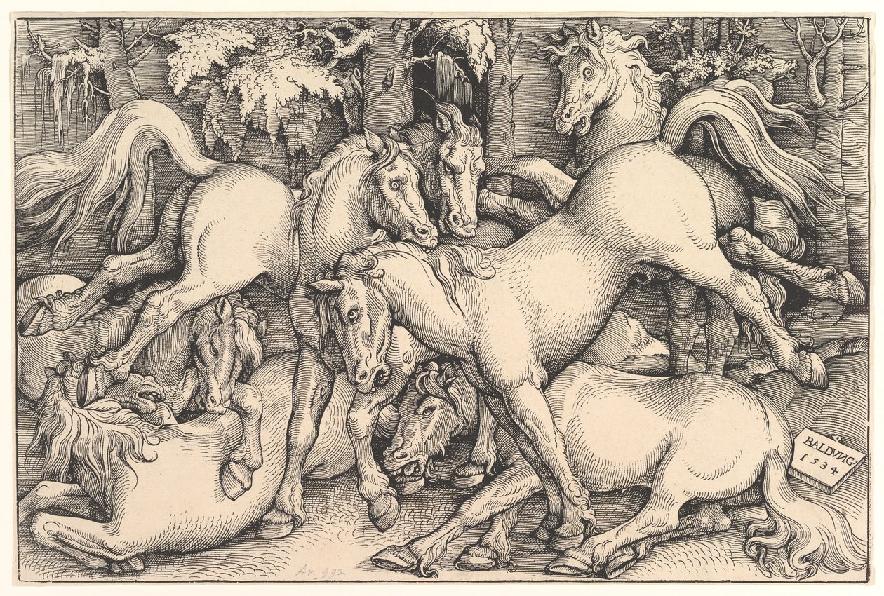Groupe de sept chevaux - Hans Baldung