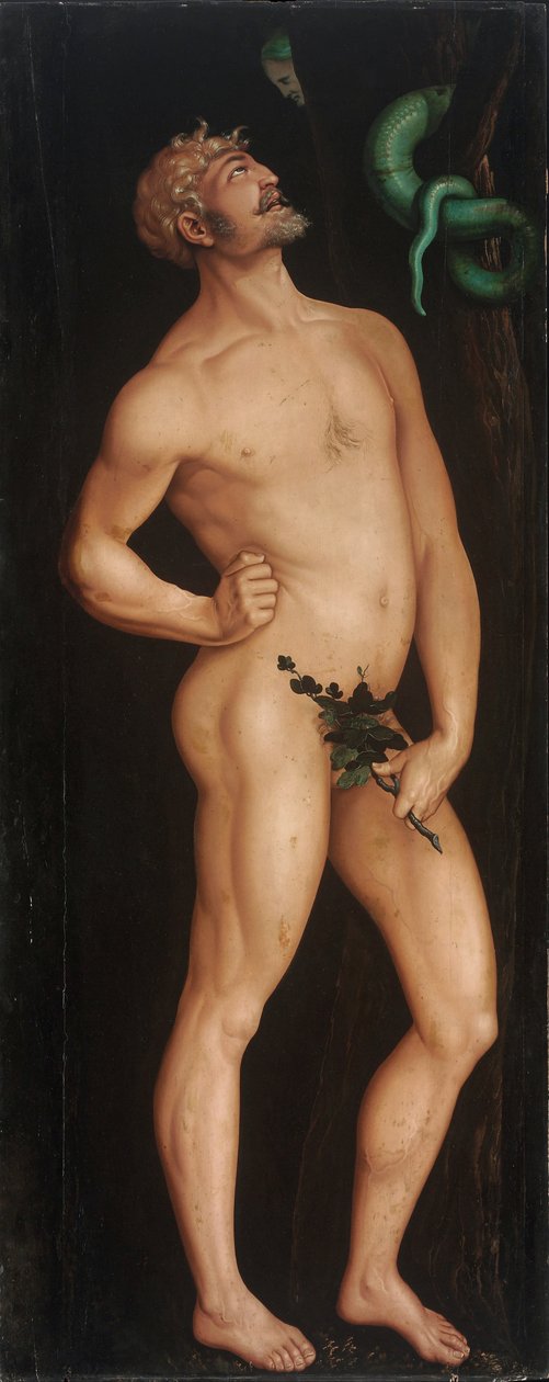 Adam - Hans Baldung Grien