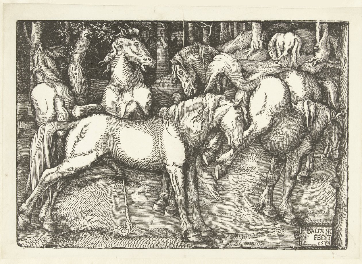 Groupe de six chevaux combattants - Hans Baldung Grien