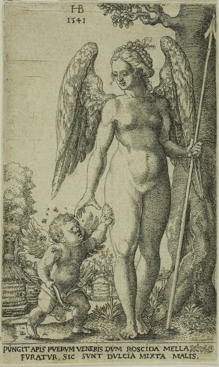 Cupidon apportant un rayon de miel à Vénus - Hans Brosamer