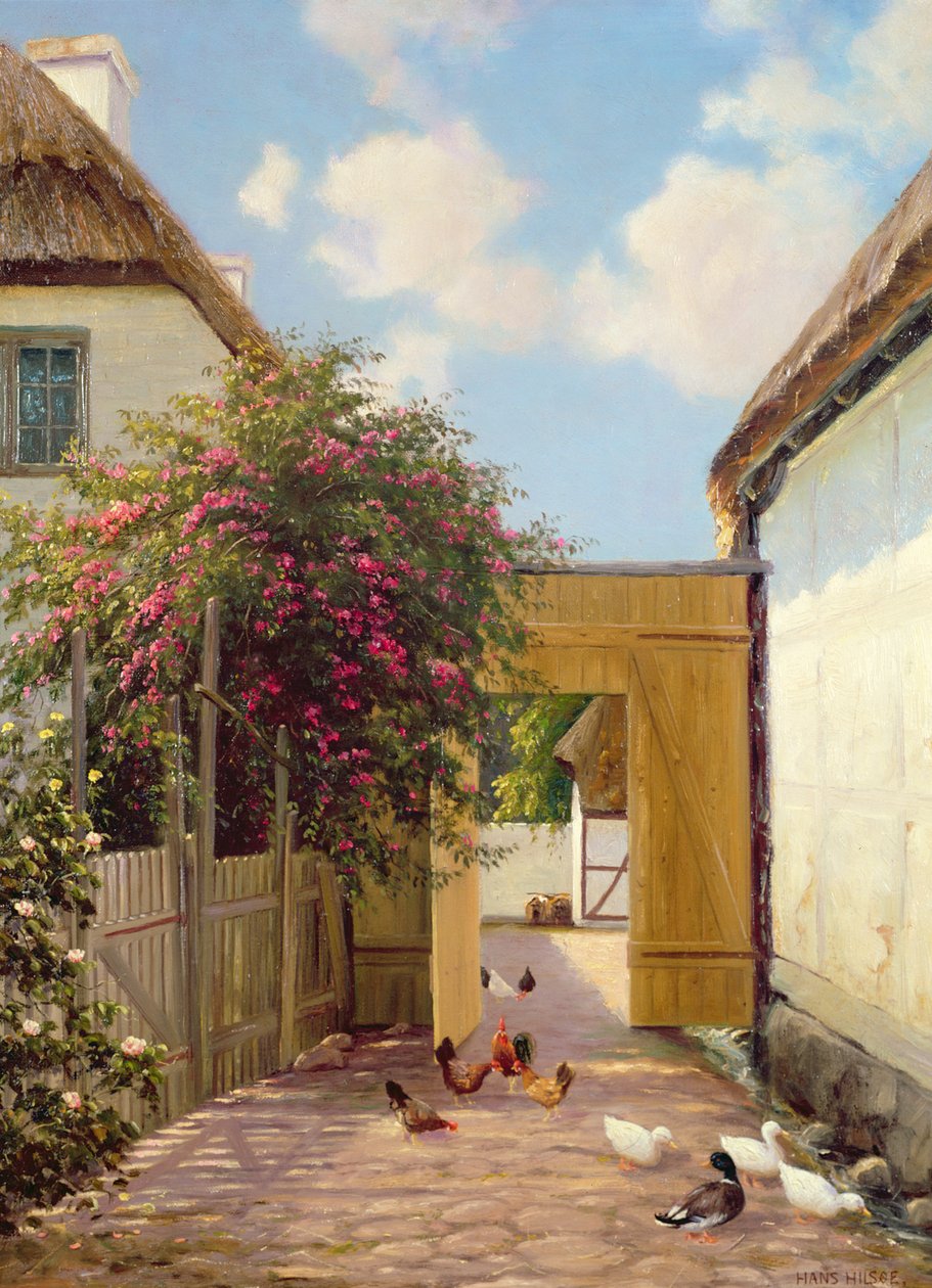 Volaille et canards - Hans Hilse